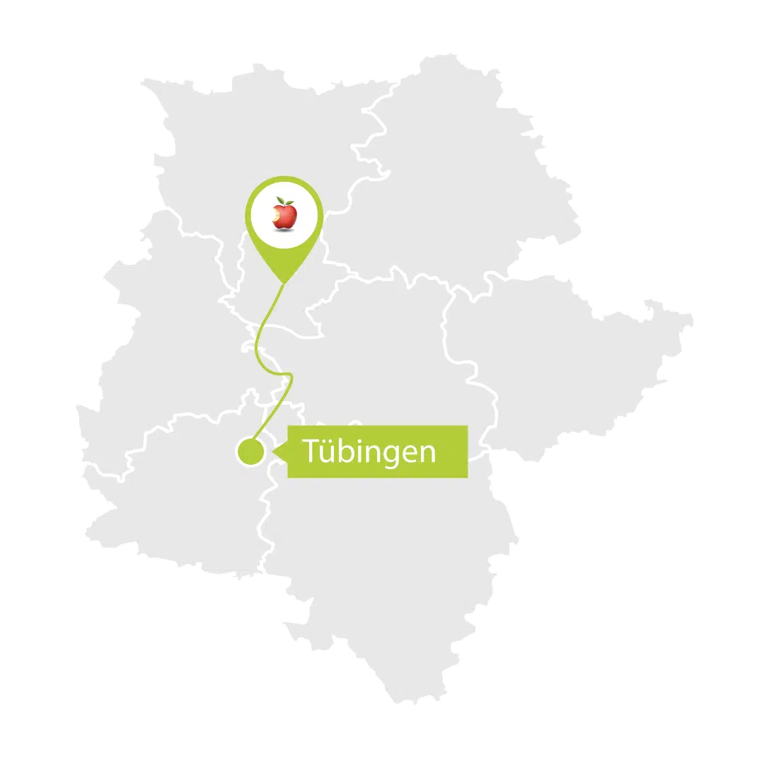 Tübingen Karten Regionen